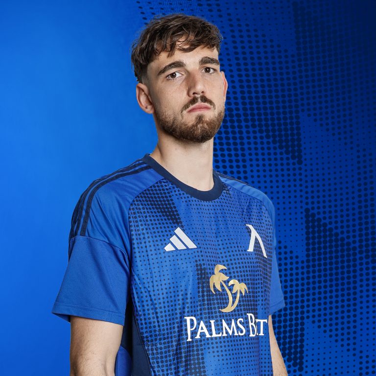 Стипе Вуликич